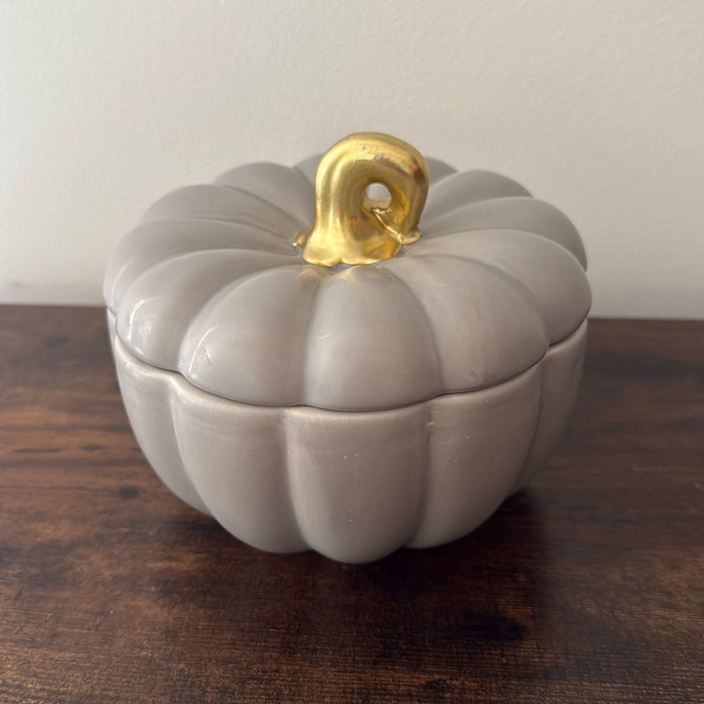 Ceramic Pumpkin Cookie Candy Treat Jar Gray Farmhouse Fall Autumn Holiday Decor